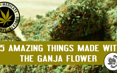 25 Amazing Things Made With The Ganja Flower